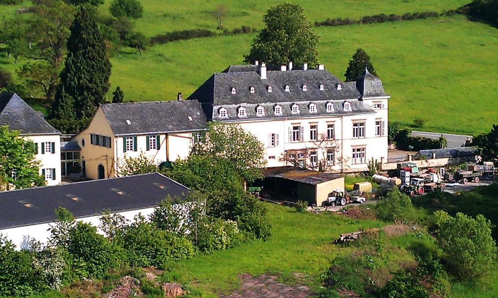 Apartament Haus Sonnenschein Wiltingen Zewnętrze zdjęcie